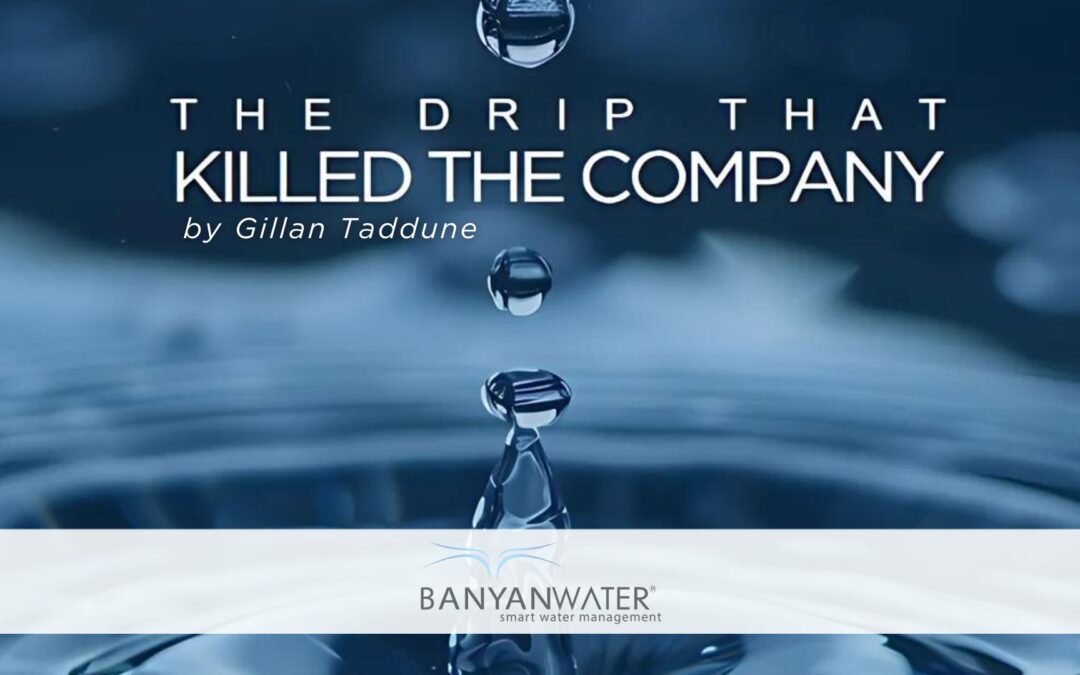 The Drip That Killed the Company, Water Management Concerns