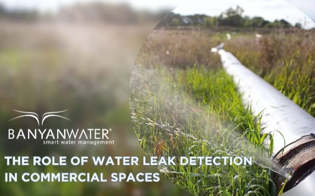 The Role of Water Leak Detection in Commercial Spaces